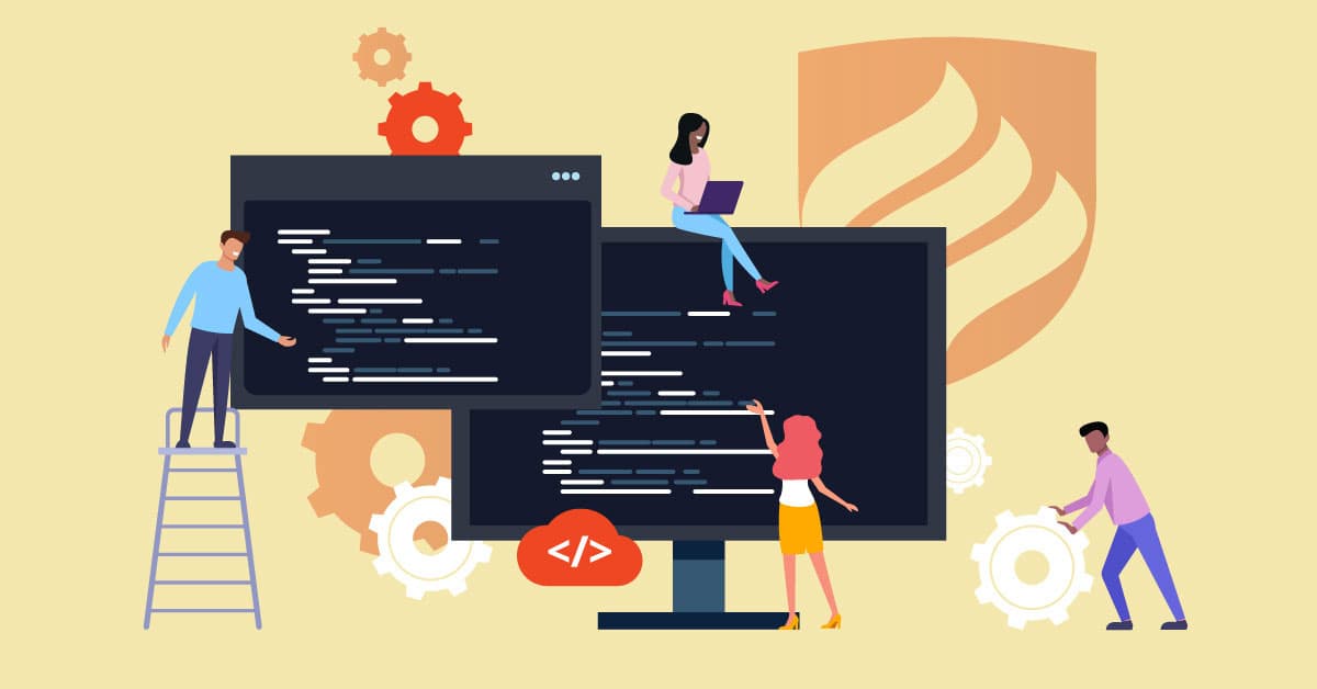 Where do I begin as a programmer?